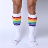 PRIDE 24 KNEE HIGH SOCK