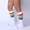 PRIDE 24 KNEE HIGH SOCK