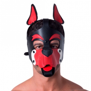 665 Playful Pup Hood...