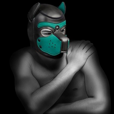 Neo Puppy Hood verde 7653