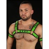 Neo Bold Bulldog Harness Lime 9261 1