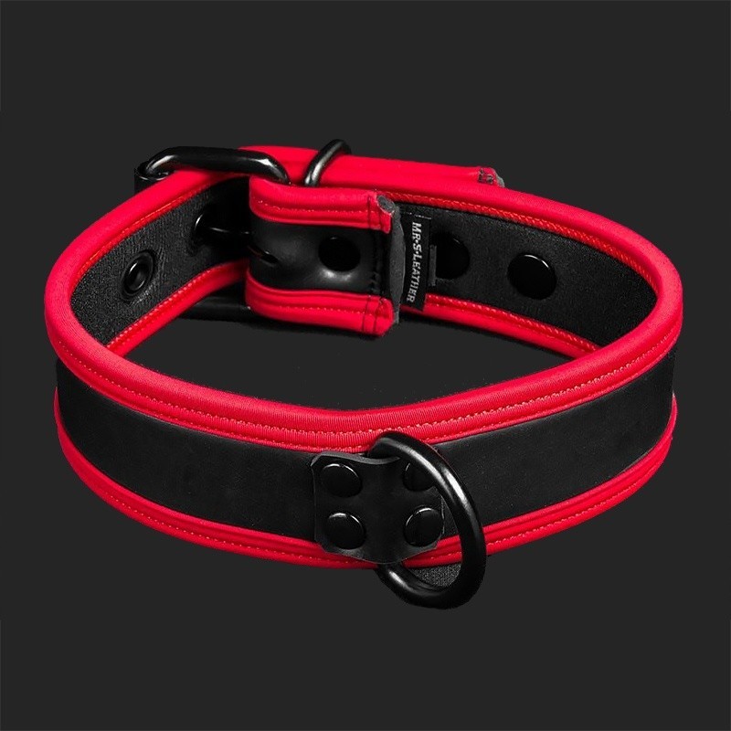 Neo puppy collar
