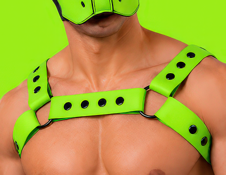 Mr S Leather harnais silicone Mr S Leather