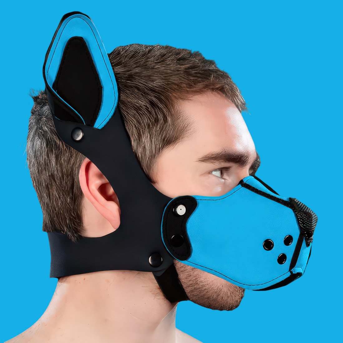 Mr S Leather neoprene K9 Muzzle kit